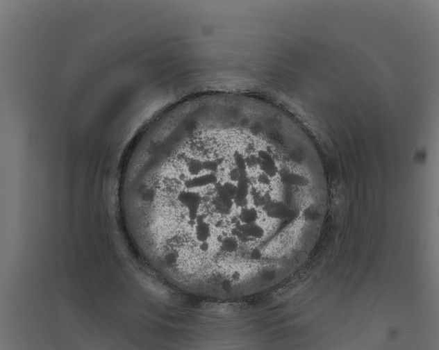 X0000094190679200711241615