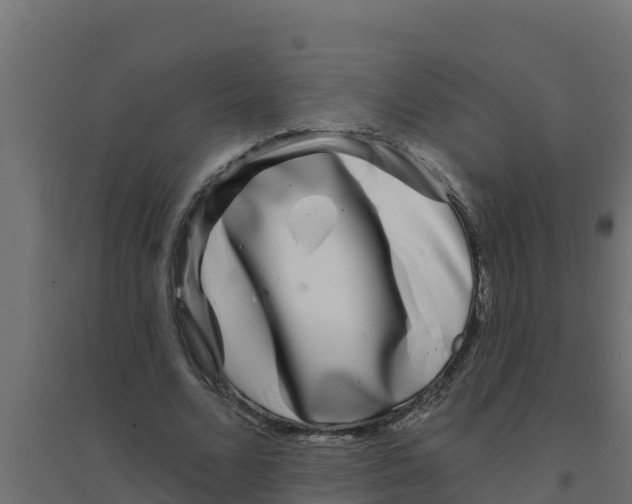 X0000094190680200711241615