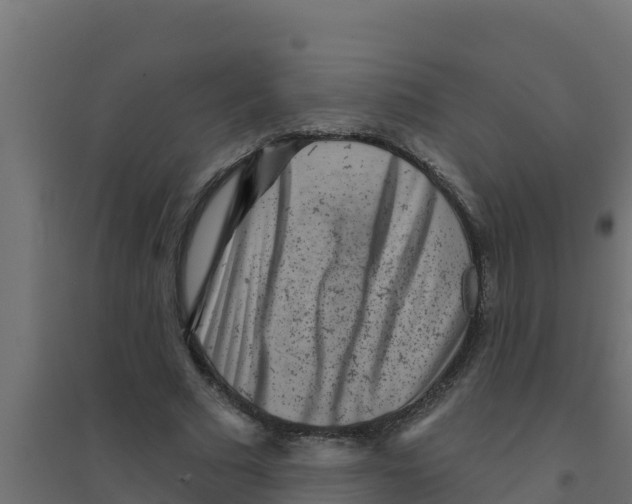X0000094190681200711241615