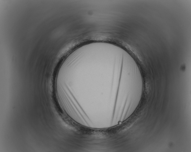 X0000094190682200711241615
