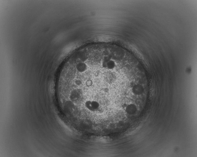 X0000094190683200711241615