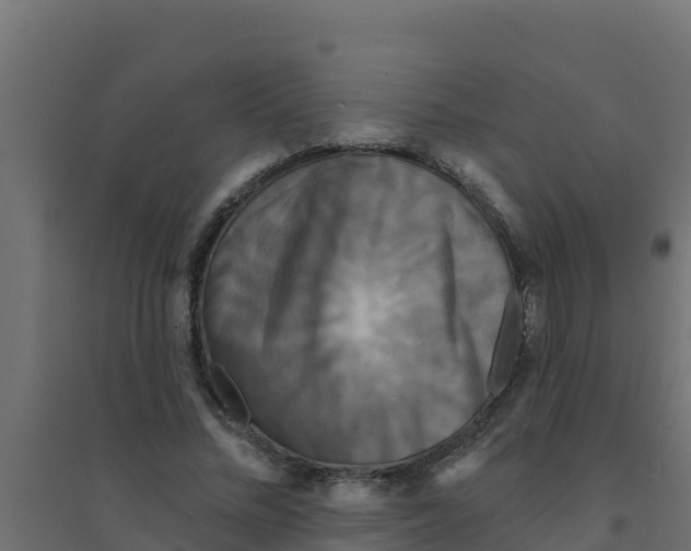 X0000094190684200711241615