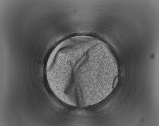 X0000094190685200711241615