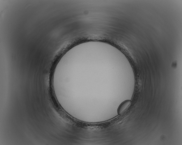 X0000094190686200711241615