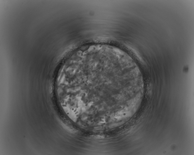 X0000094190687200711241615