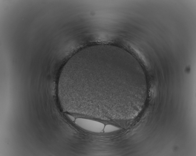X0000094190689200711241615