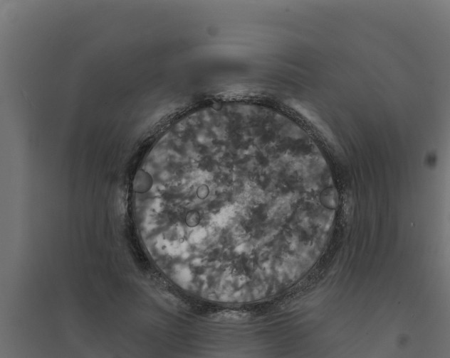 X0000094190691200711241615