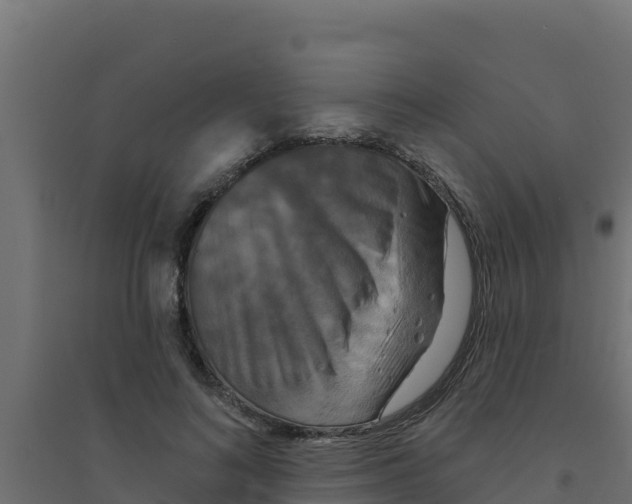 X0000094190692200711241615