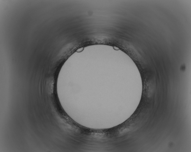 X0000094190694200711241615