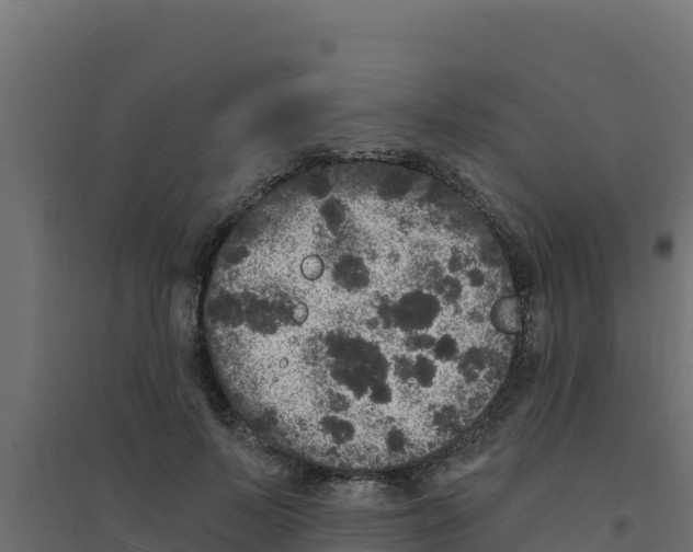 X0000094190695200711241615