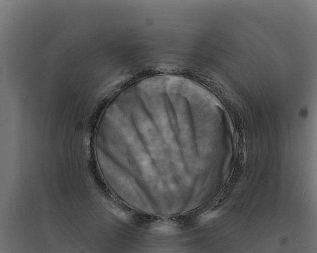 X0000094190696200711241615