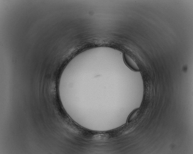 X0000094190700200711241615