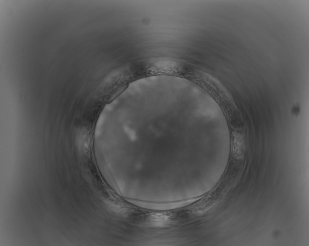 X0000094190701200711241615