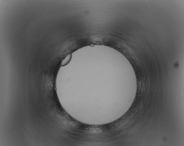 X0000094190702200711241615