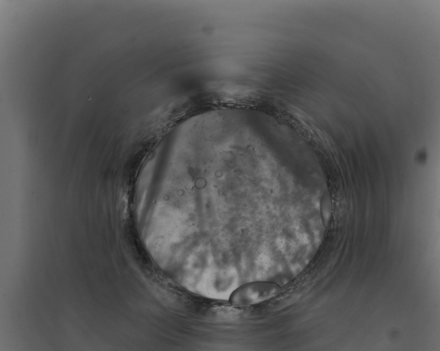 X0000094190703200711241615