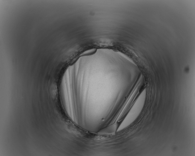 X0000094190704200711241615