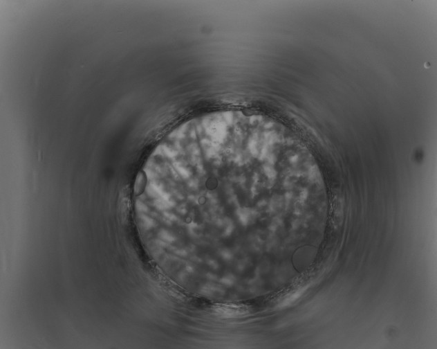 X0000094190707200711241615