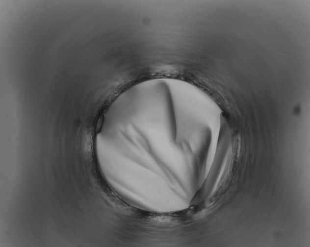 X0000094190708200711241615