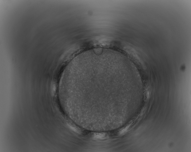 X0000094190709200711241615