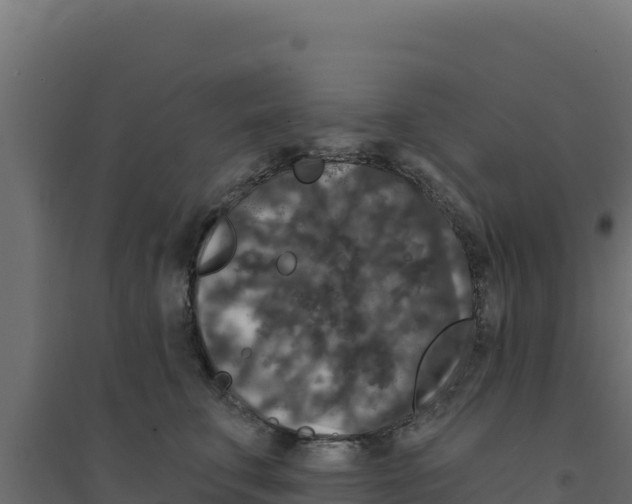 X0000094190711200711241615