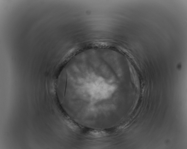 X0000094190712200711241615