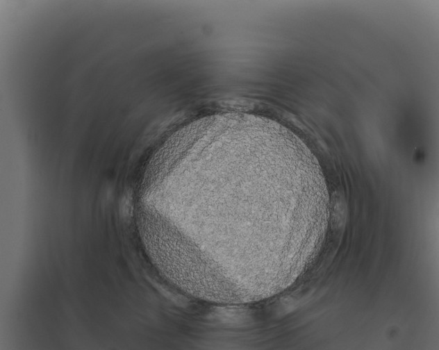 X0000094190713200711241615