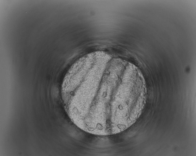 X0000094190715200711241615