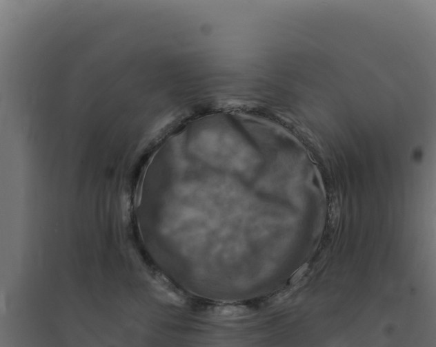 X0000094190716200711241615