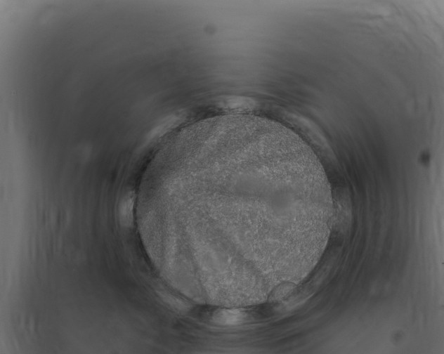 X0000094190717200711241615
