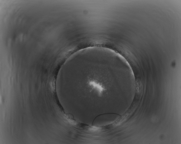 X0000094190718200711241615