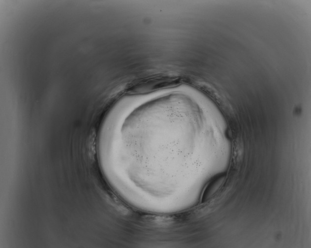 X0000094190719200711241615