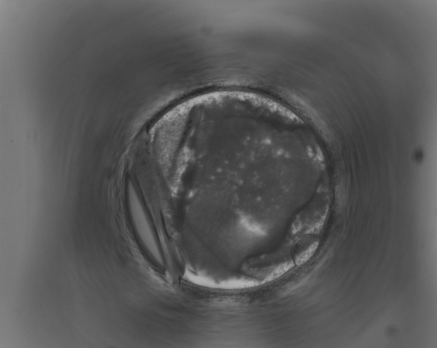 X0000094190721200711241614