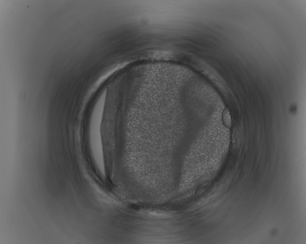 X0000094190722200711241614