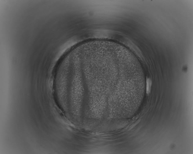 X0000094190723200711241614