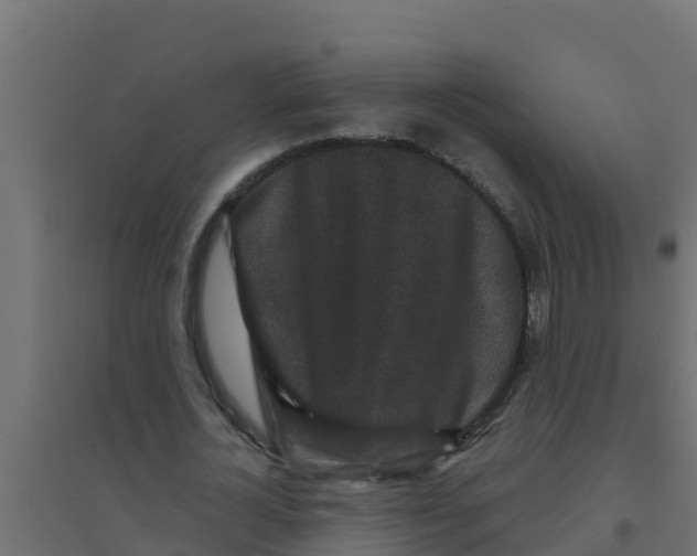 X0000094190724200711241614