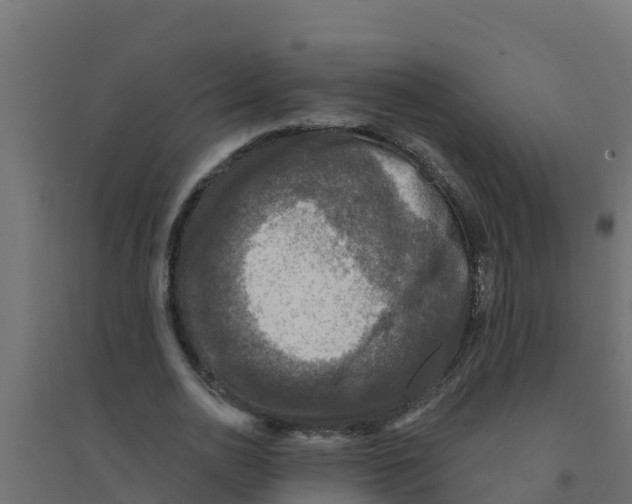 X0000094190726200711241614