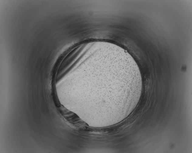X0000094190727200711241614