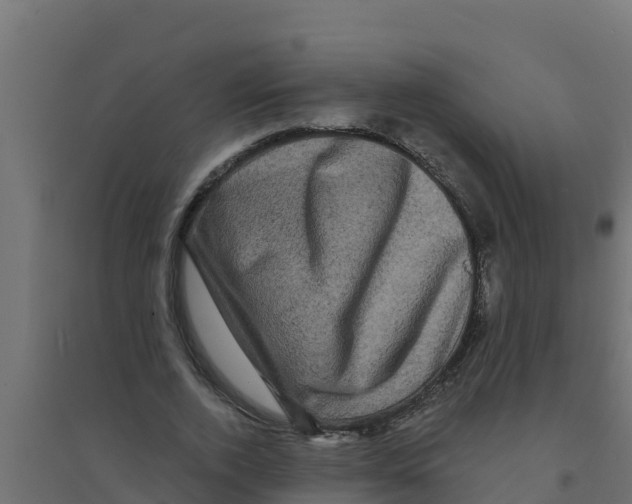 X0000094190728200711241614