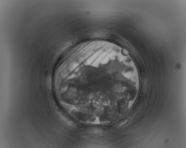 X0000094190729200711241614