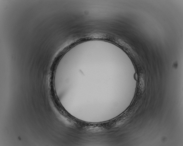 X0000094190730200711241614
