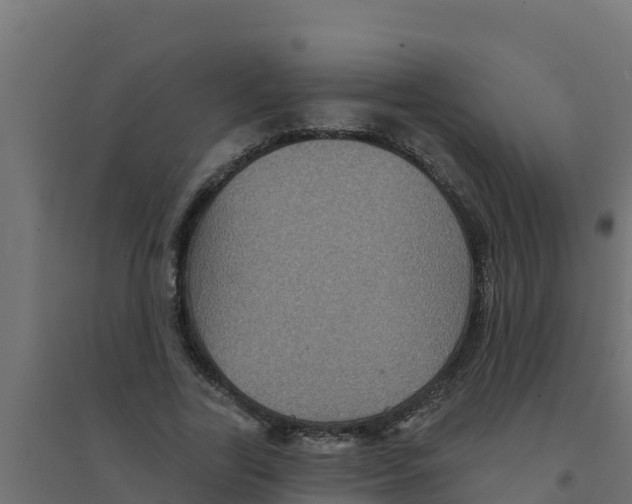 X0000094190731200711241614