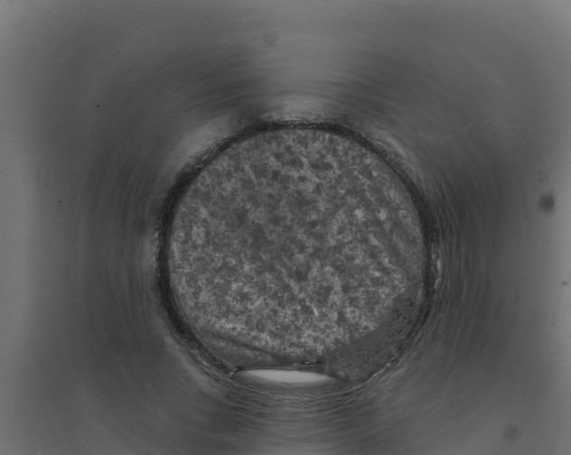 X0000094190735200711241614