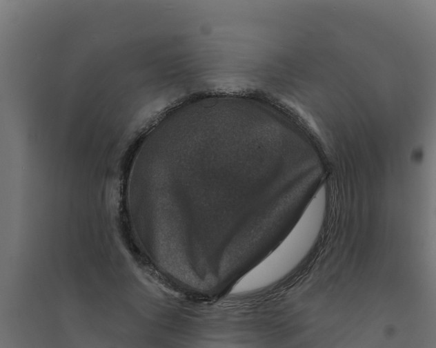 X0000094190736200711241614