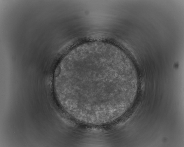 X0000094190737200711241614