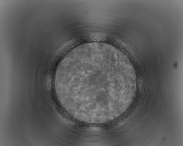 X0000094190741200711241615