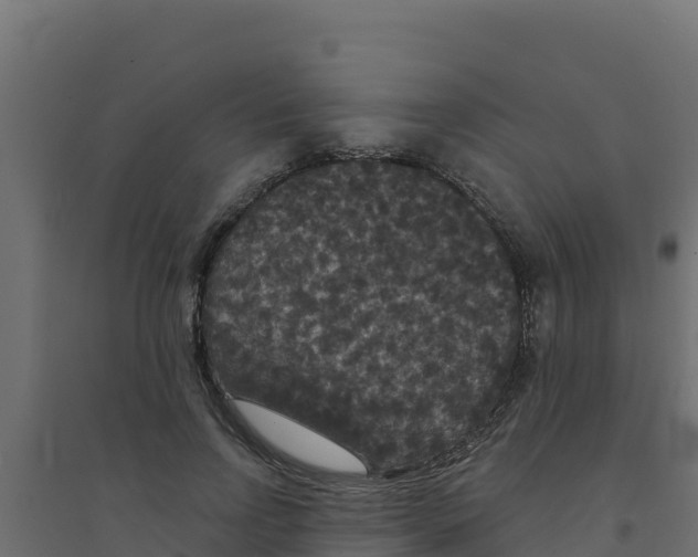 X0000094190742200711241615