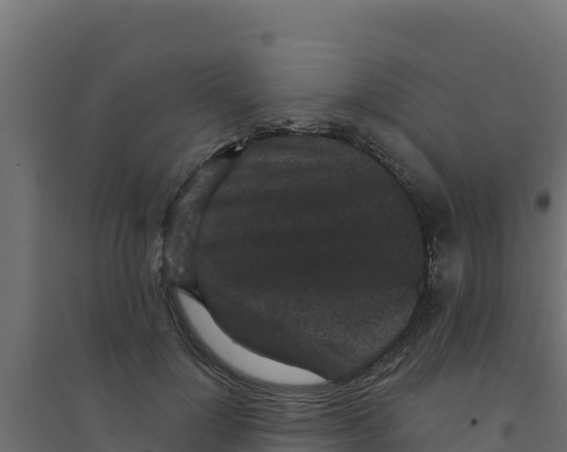 X0000094190748200711241615