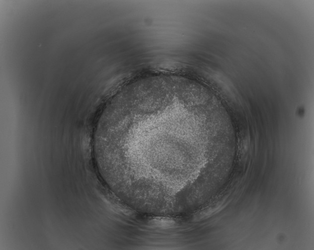 X0000094190749200711241615