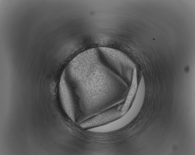 X0000094190750200711241615