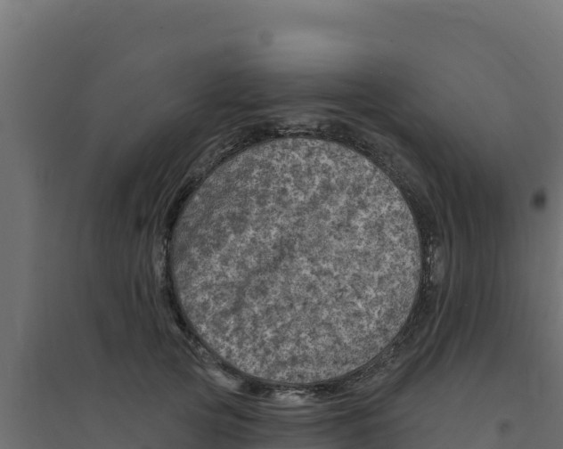 X0000094190753200711241615